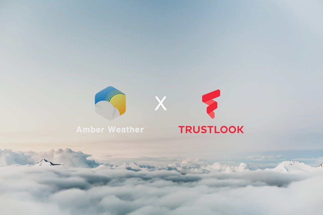 Trustlook Provides Protection Services to Amber Mobile